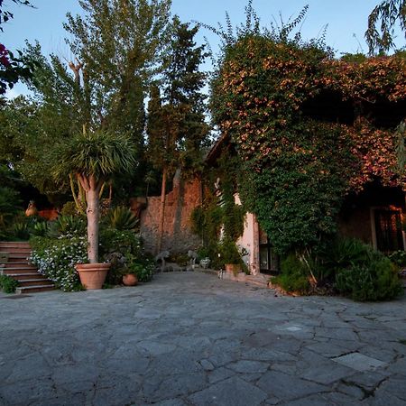 Villa Le Palme Forio di Ischia Exteriör bild