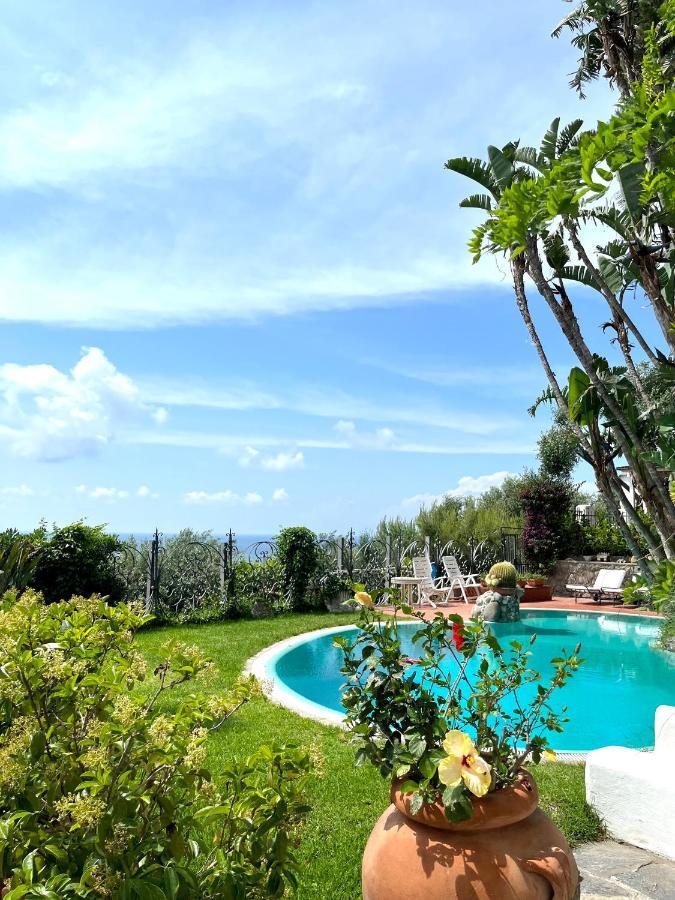 Villa Le Palme Forio di Ischia Exteriör bild