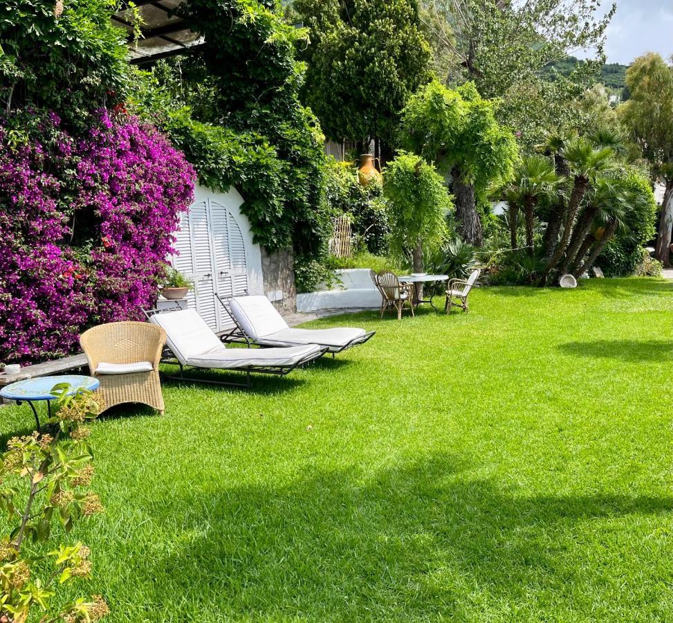 Villa Le Palme Forio di Ischia Exteriör bild