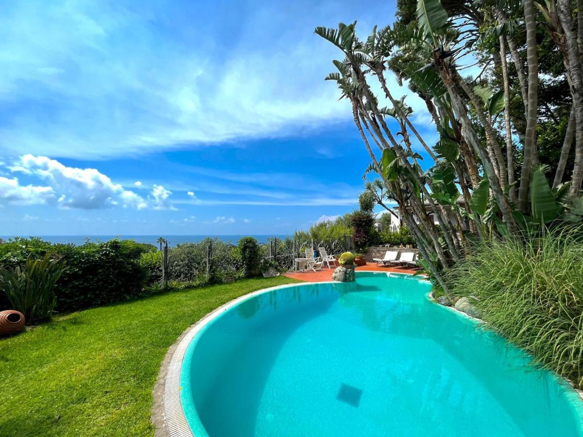 Villa Le Palme Forio di Ischia Exteriör bild