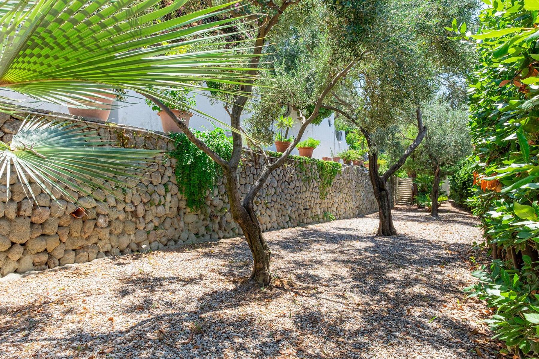 Villa Le Palme Forio di Ischia Exteriör bild